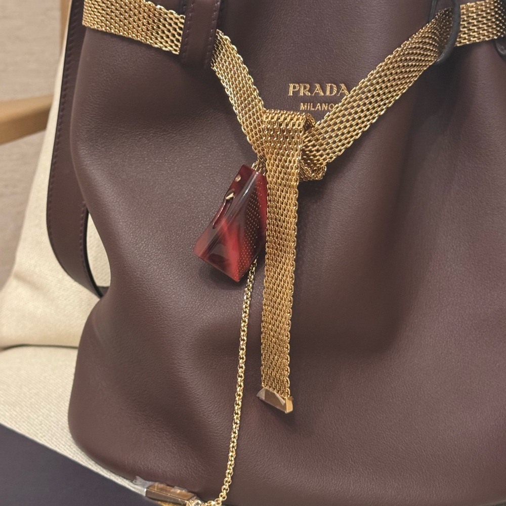 Prada Dark Brown Shoulder belt bag with Gold mesh Chain Runway